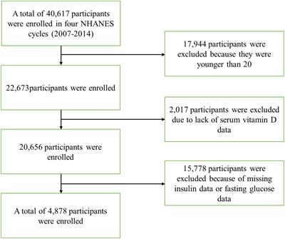 Dietary Magnesium Intake Level Modifies the Association Between Vitamin D and Insulin Resistance: A Large Cross-Sectional Analysis of American Adults